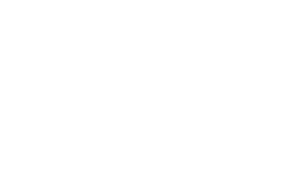 Avex Aviation